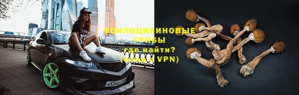 синтетический гашиш Инта