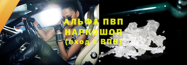 тгк Иннополис