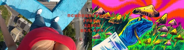 тгк Иннополис