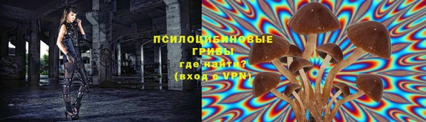 тгк Иннополис